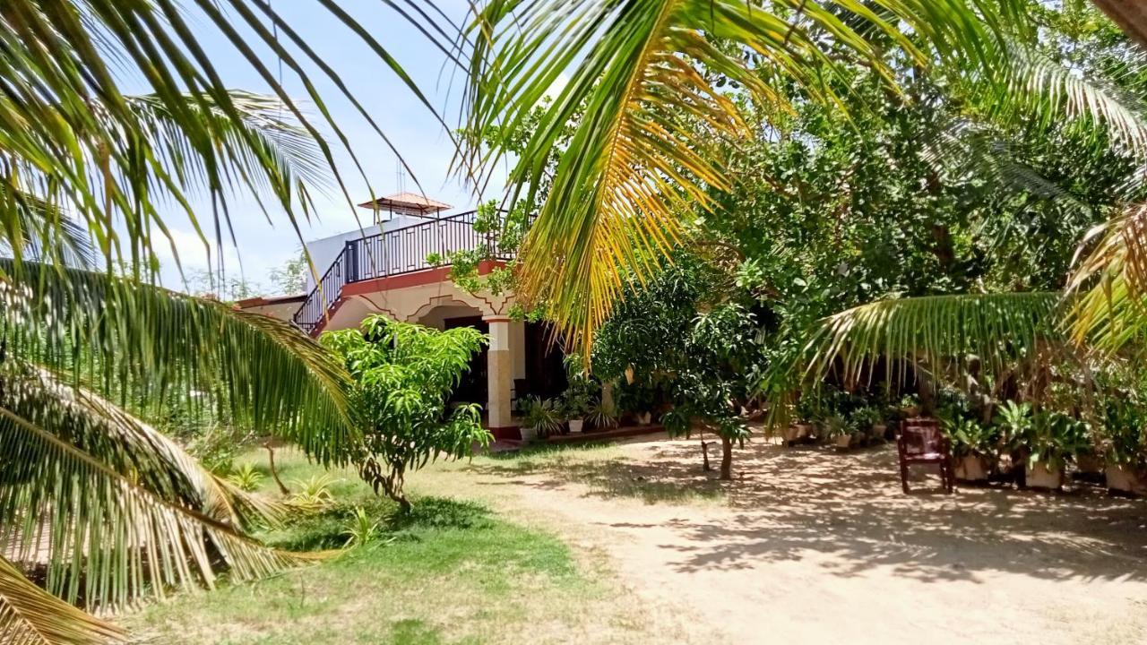 Nature View 拜蒂克洛 外观 照片